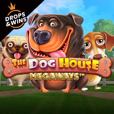 Dog House